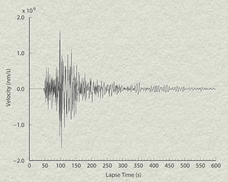 Seismic Wave 1D